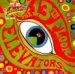 The Psychedelic Sounds of the 13th Floor Elevators